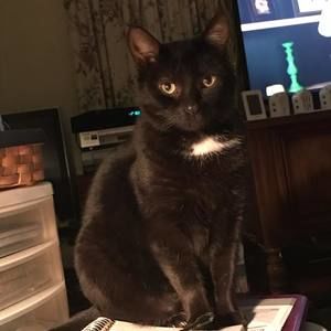 Meet your Posher, Tammy